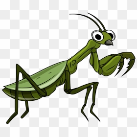 Svg Library Download Grasshopper Cartoon Clip Art Transprent - Clip Art, HD Png Download - grasshopper png