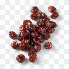 Cranberry Vector Single - Seedless Fruit, HD Png Download - cranberry png