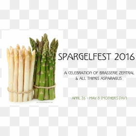 Asparagus Png , Png Download - Asperge Png, Transparent Png - asparagus png