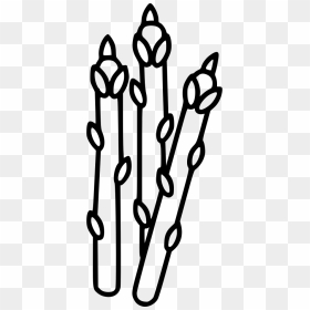 Asparagus - Clip Art, HD Png Download - asparagus png