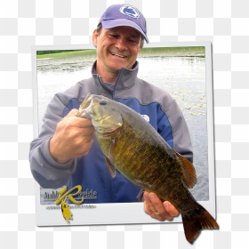 Smallmouth Bass - Pull Fish Out Of Water, HD Png Download - bass fish png