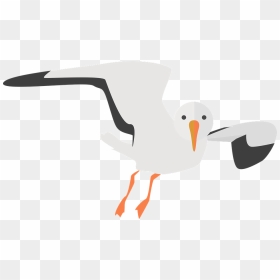 Seagull Clipart Transparent, HD Png Download - cartoon bird png