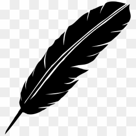 Feather Fusion Leadership Drawing Wanelo Takagari - Black Feather Drawing, HD Png Download - black feather png