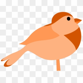 Simple Cartoon Bird Svg Clip Arts - Free Vector Image Bird, HD Png Download - cartoon bird png