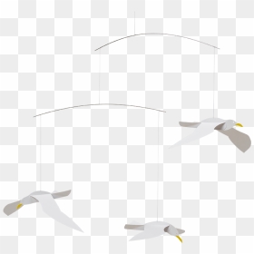 Franklin S Gull, HD Png Download - seagulls png
