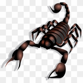 Cure Of Scorpion Bite, HD Png Download - sting png
