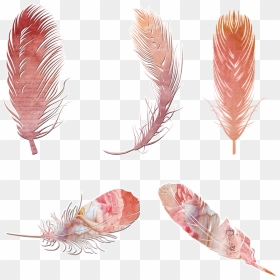 Transparent Black Feathers Png - Bohemian Feather Png, Png Download - black feather png