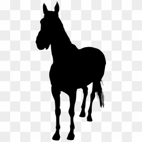 Horse Silhouette Without Background, HD Png Download - horse silhouette png