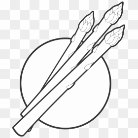 Asparagus Line Art Logo Clip Arts - Garden Asparagus, HD Png Download - asparagus png