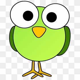 Light Green Large Eyed Bird Graphics - Funny Bird Clipart, HD Png Download - cartoon bird png
