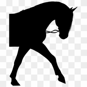 Pony Silhouette Png - Horse And Rider Silhouette, Transparent Png - horse silhouette png