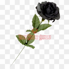 Black Roses Png , Png Download - Single Black Rose Flowers, Transparent Png - black roses png