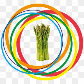 Asparagus, HD Png Download - asparagus png