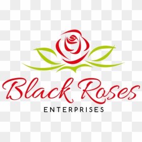 Picture - Garden Roses, HD Png Download - black roses png