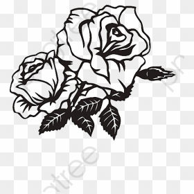 Black And White Roses Png - Rose Png Black And White, Transparent Png - black roses png