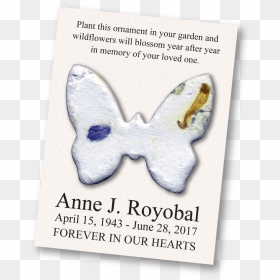 Transparent In Loving Memory Clipart - Swallowtail Butterfly, HD Png Download - in loving memory png
