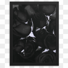 Picture Frame, HD Png Download - black roses png
