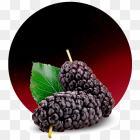 Black Mulberry, HD Png Download - cranberry png