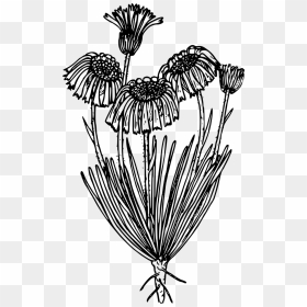 Black And White Flower Icon Transparent, HD Png Download - flower icon png