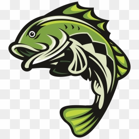 Bass Fish, Png Download - Largemouth Bass Clipart Png, Transparent Png - bass fish png