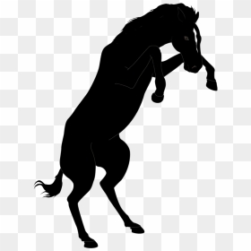 Horse Standing Silhouette Png , Png Download - Mustang Sports, Transparent Png - horse silhouette png