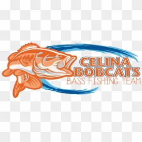 Bass Fish Png, Transparent Png - bass fish png