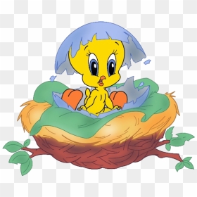 Baby Tweety Bird Png, Transparent Png - cartoon bird png