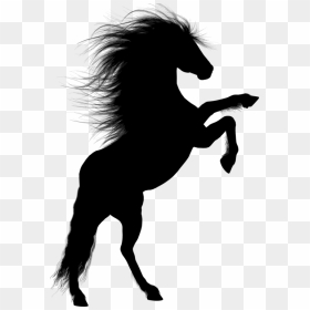 Silhouette Horse - Stallion Png, Transparent Png - horse silhouette png