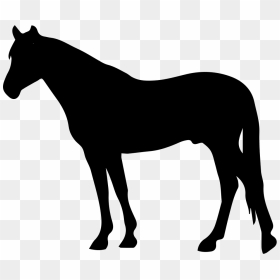 Horse Black Silhouette Facing To Left Svg Png Icon - Horse Silhouette ...