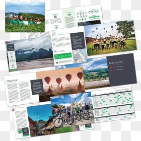 Grasshopper - Flyer, HD Png Download - grasshopper png