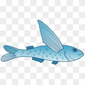 Important Clip Art Fish Clipart Flying - Fish Fin Clipart, HD Png Download - fish clipart png