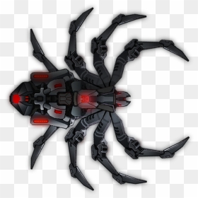 [ship][ae] Spider Black Widow - Black Widow Spider Png, Transparent Png - tarantula png