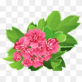 Cliparts Real Flowers - Real Flower Clip, HD Png Download - real flower png