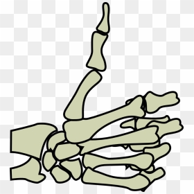 You Need To Login To View This Link Hopefully This - Skeleton Hand Thumbs Up Png, Transparent Png - thumb up png