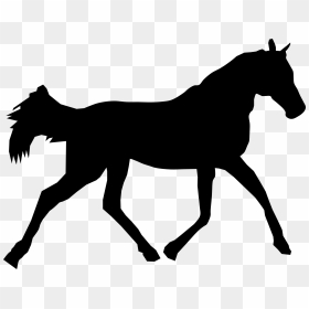 Pony Silhouette Png - Cheval De Profil Png, Transparent Png - horse silhouette png