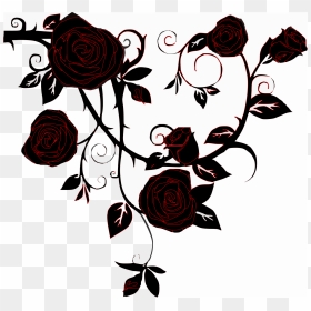 Il N Y A Pas De Rose Sans Épines, HD Png Download - black roses png