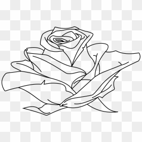 Rose Line Drawing At Getdrawings - Line Drawing Transparent Background, HD Png Download - rose drawing png