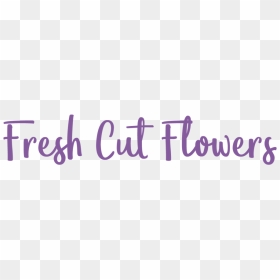 The Flowerman Fresh Cut Flowers Dayton Columbus Florist-01, HD Png Download - real flower png