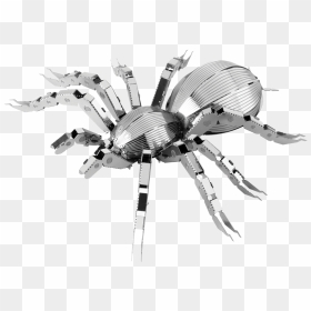 Metal Earth Bugs - Metal Tarantula, HD Png Download - tarantula png