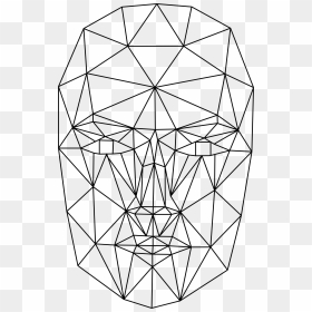 Drawing Polygons Poly Art - Polygon Wireframe Face, HD Png Download - polygon png