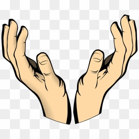 Thumb Image - Open Hands Clipart, HD Png Download - cartoon hand png