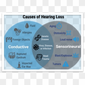 Common Causes Hearing Loss - Hearing Loss Causes, HD Png Download - loss png