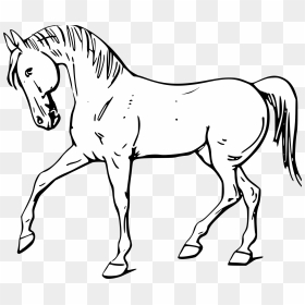 Horse Silhouette Png Clip Art - Horse Outline, Transparent Png - horse silhouette png