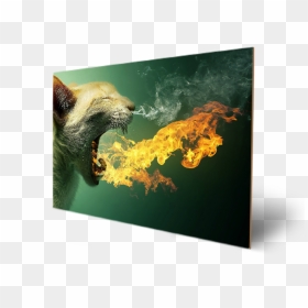 Transparent Green Fire Png - Daenerys Cat Meme, Png Download - green fire png