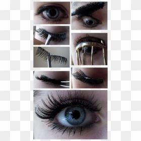 The Best Way To Apply False Lashes - Lashes Tutorial For Beginners, HD Png Download - eye lashes png