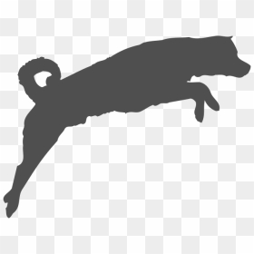 Hd Agility Classes - Dog Agility Icon Transparent, HD Png Download - dog png icon