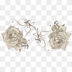 Beach Rose Drawing Flower Euclidean Vector Sketch - Drawing, HD Png Download - rose drawing png