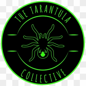 Tarantula Collective Logo, HD Png Download - tarantula png