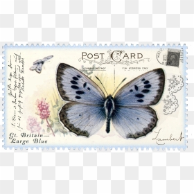 A 3672781843 - Butterfly Postage Stamps, HD Png Download - postage stamp png