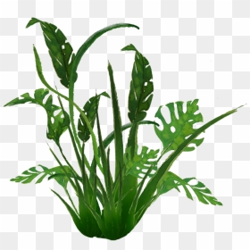 938 Jungle Plants 01 By Tigers Stock A - Transparent Jungle Plants Png, Png Download - jungle plants png
